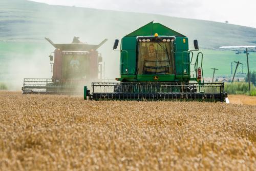Agroturdean