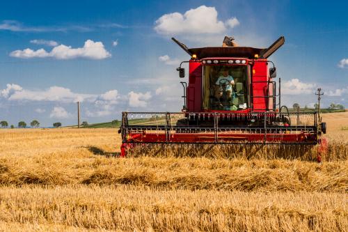 Agroturdean